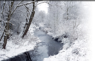Winter Stream